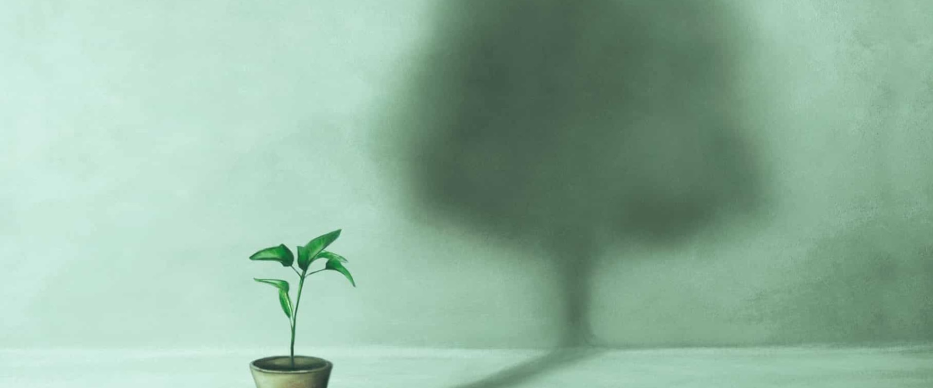 Difference Between Wellness and Wellbeing and What It Means for a Purpose-Filled Life