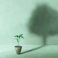 Difference Between Wellness and Wellbeing and What It Means for a Purpose-Filled Life