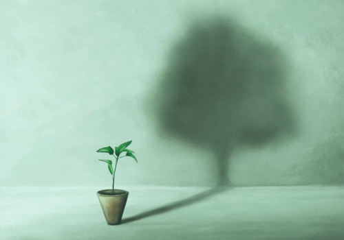 Difference Between Wellness and Wellbeing and What It Means for a Purpose-Filled Life